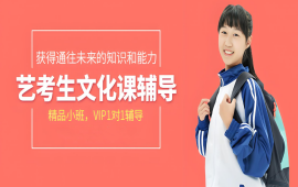 文化课辅导