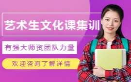 博大艺术文化课培训