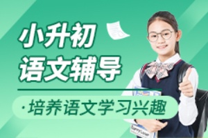 小升初语文辅导