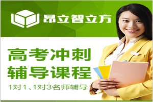 高考冲刺语文辅导