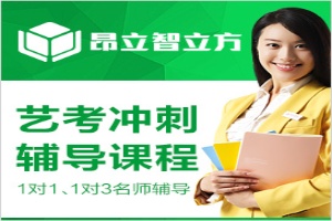 艺考文化课辅导
