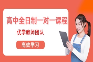 高三全日制1对1辅导